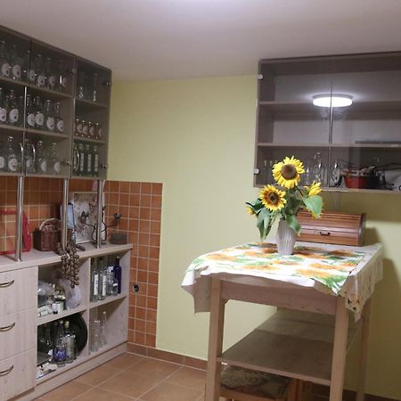 Vila Tamaskut Lendva Kültér fotó